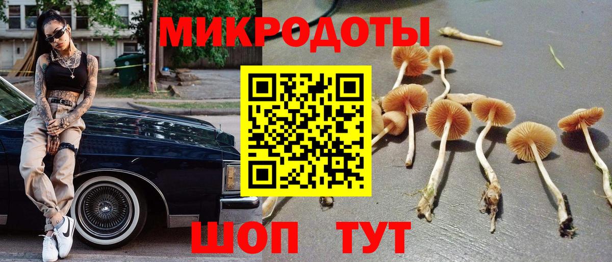 Псилоцибиновые грибы ЛСД  Псилоцибиновые грибы мухоморы  Вход с VPN  Тулун 